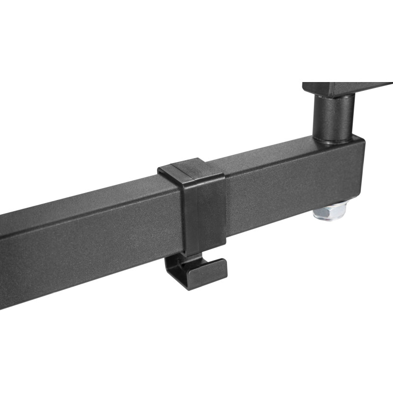 Kivi  Motion-223