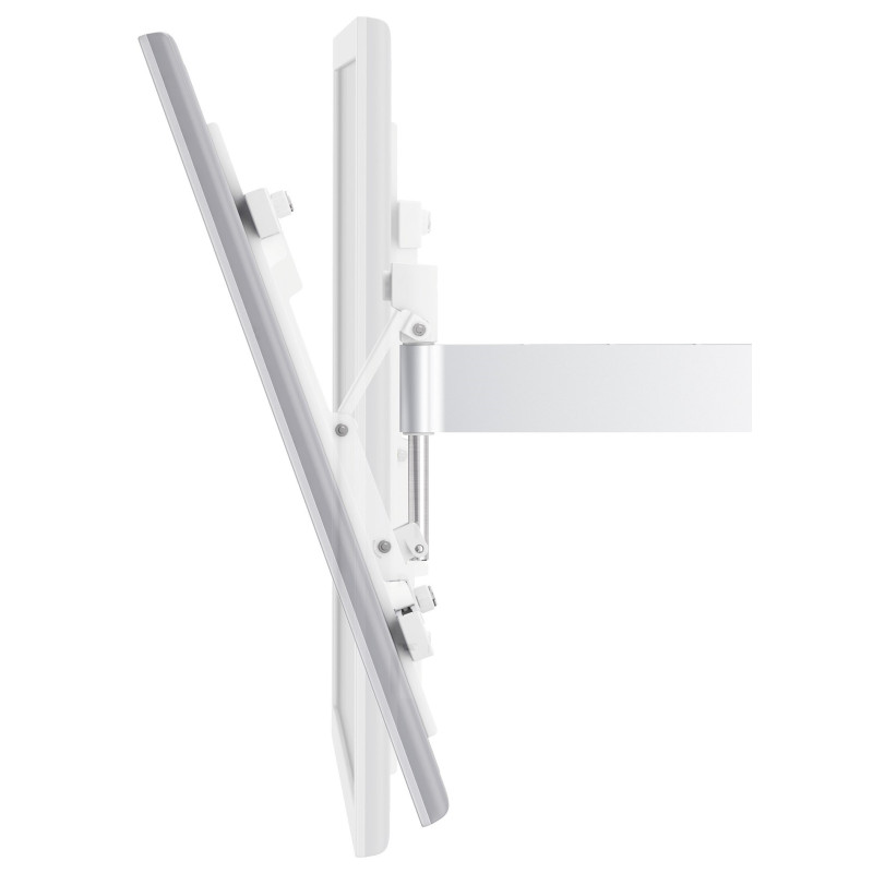 VOGELS W52081