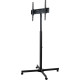 SECTOR T14 Black