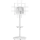 Кронштейн Gembird TVS-86TR-01-W