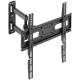 Kivi  Motion-443A
