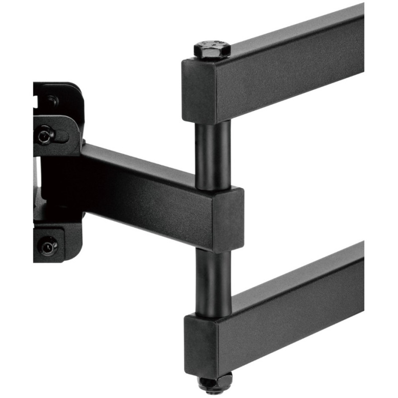 Kivi  Motion-443A