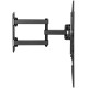 Kivi  Motion-443A