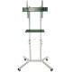 SECTOR T10 White
