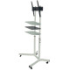 SECTOR T10 White