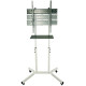SECTOR T10 White