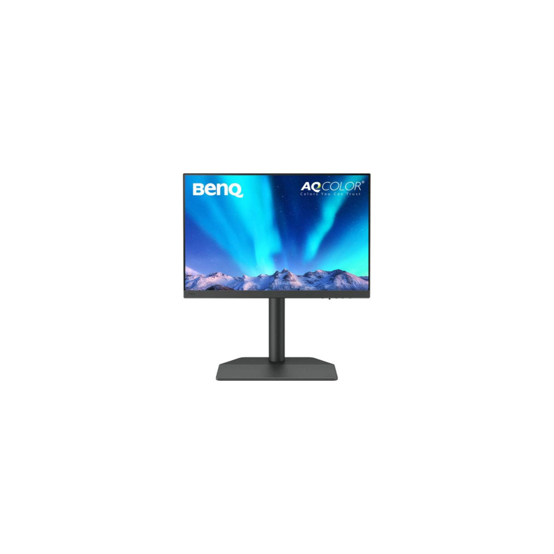 Монитор BenQ SW242Q (9H.LLVLA.TBE)