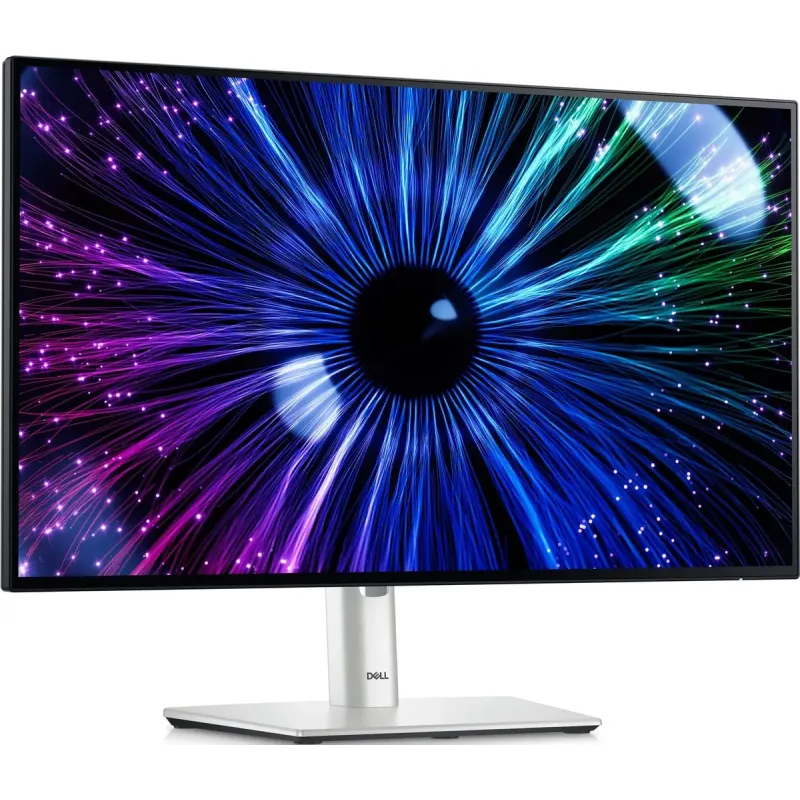 Монитор Dell U2424HE (210-BKJF)