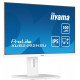 IIYAMA XUB2492HSU-W6