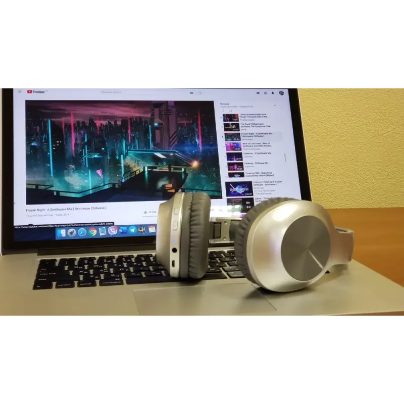 Навушники Panasonic RB-HX220BEE-S Silver