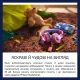 Навушники Philips TAK4206 Kids Blue (TAK4206BL)