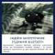 Наушники Philips TAT2520 Wireless Black (TAT2520BK/00)