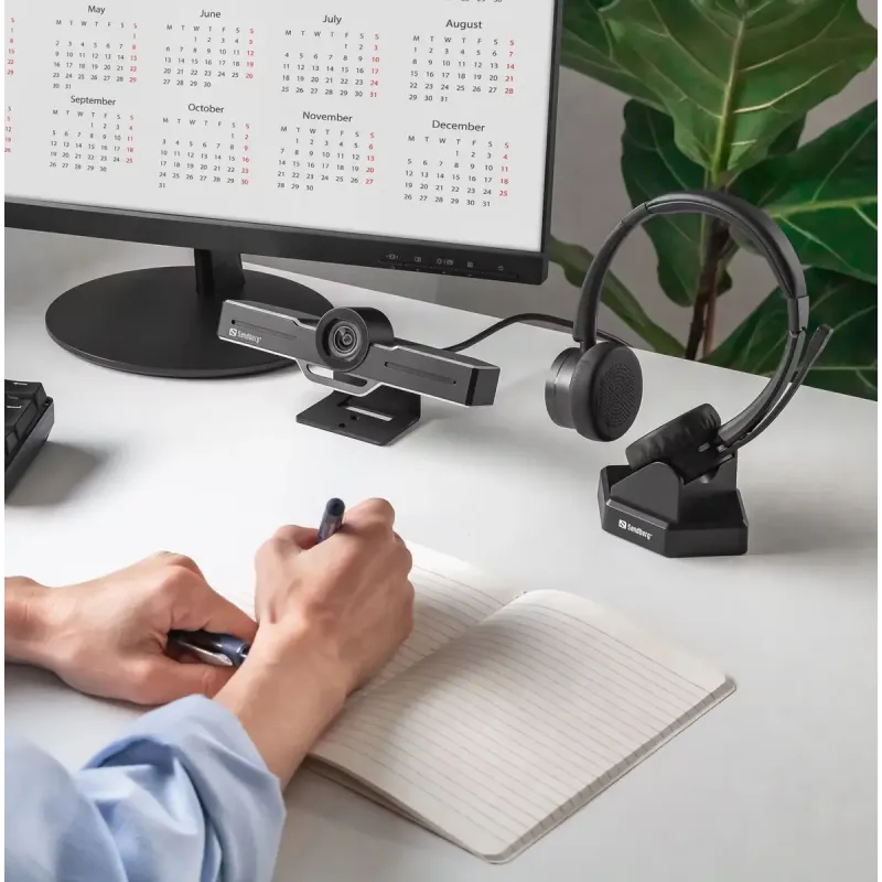 Комп'ютерна гарнітура Sandberg Wireless Office Headset Pro+ Black (126-18)