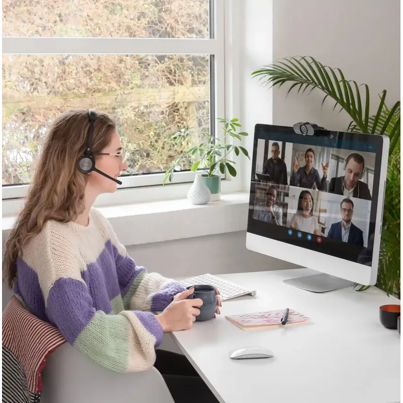 Комп'ютерна гарнітура Sandberg Wireless Office Headset Pro+ Black (126-18)