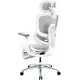 Кресло Sihoo C300 LITE V2 White (C300-LITE-V2-B102)