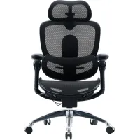 Крісло Sihoo C300 PRO V2 Black (C300-PRO-V2-B101)