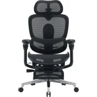 Кресло Sihoo C500 V2 Black (C500-V2-B101-JT)