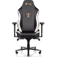 Кресло Secretlab TT20-PU-Classic
