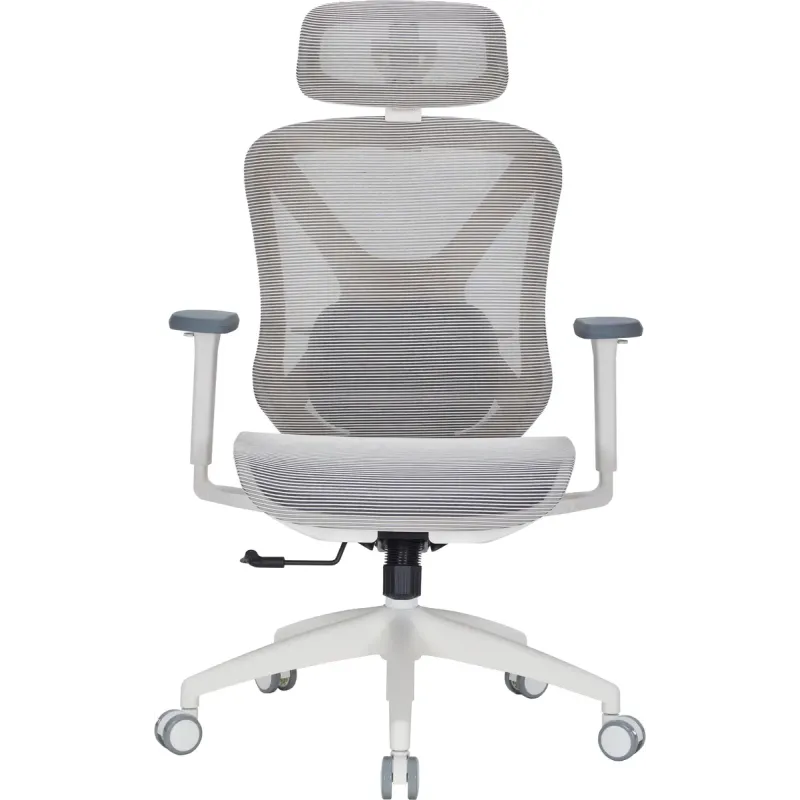 Крісло OfficePro OC630-W-LG-LG