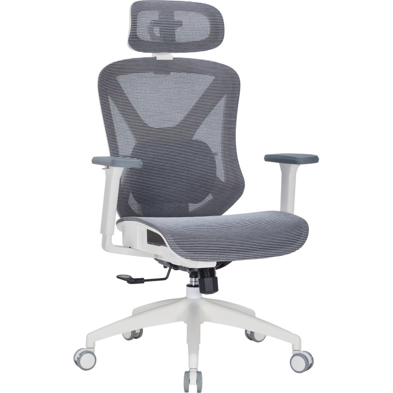 Кресло OfficePro OC630-W-DG-DG