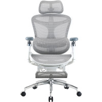 Кресло Sihoo DORO C300 Pro Mesh White with footrest (DORO-C300-PRO-M102-JT)