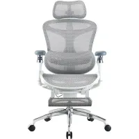 Крісло Sihoo DORO C300 Pro Mesh White with footrest (DORO-C300-PRO-M102-JT)