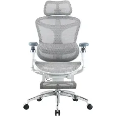 Крісло Sihoo DORO C300 Pro Mesh White with footrest (DORO-C300-PRO-M102-JT)