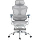 Крісло Sihoo DORO C300 Pro Mesh White with footrest (DORO-C300-PRO-M102-JT)