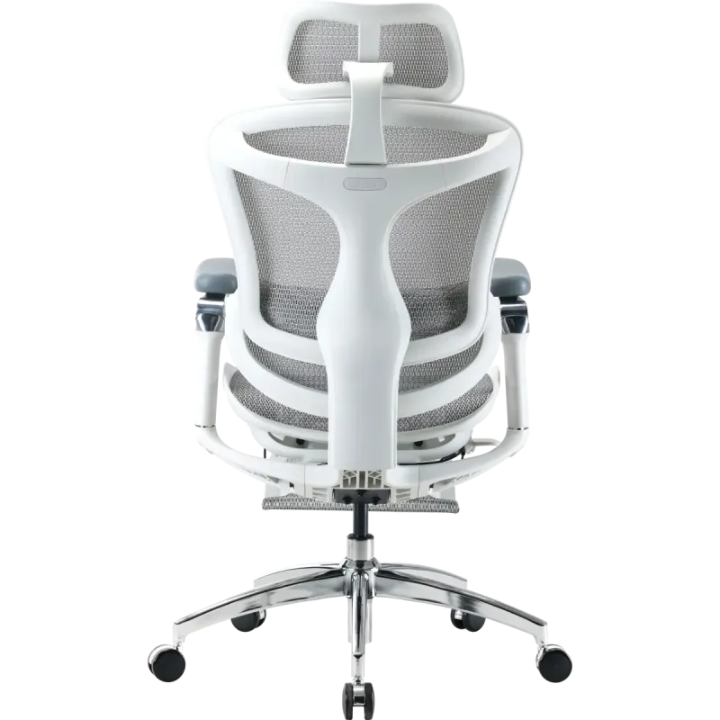 Крісло Sihoo DORO C300 Pro Mesh White with footrest (DORO-C300-PRO-M102-JT)