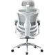 Крісло Sihoo DORO C300 Pro Mesh White with footrest (DORO-C300-PRO-M102-JT)
