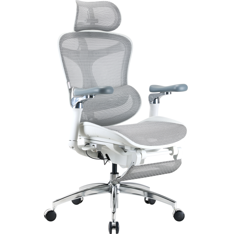 Крісло Sihoo DORO C300 Pro Mesh White with footrest (DORO-C300-PRO-M102-JT)
