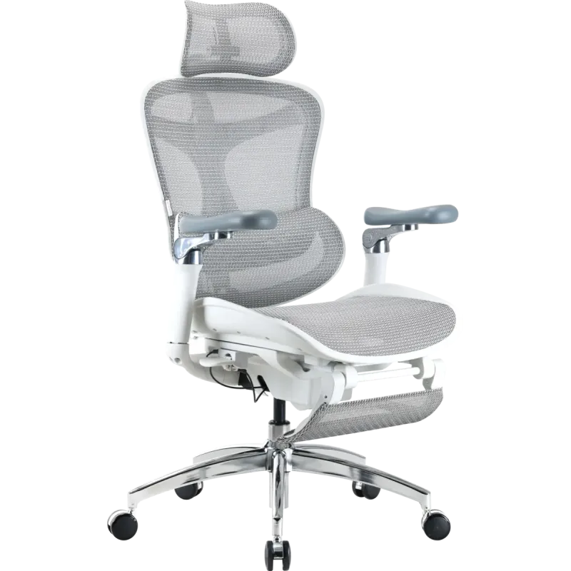 Крісло Sihoo DORO C300 Pro Mesh White with footrest (DORO-C300-PRO-M102-JT)