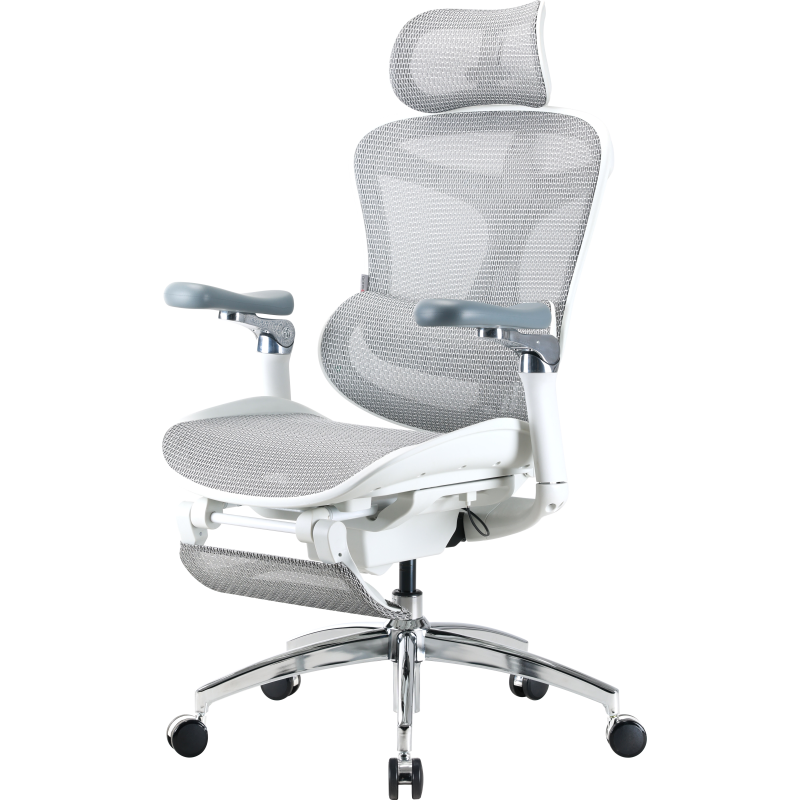 Крісло Sihoo DORO C300 Pro Mesh White with footrest (DORO-C300-PRO-M102-JT)