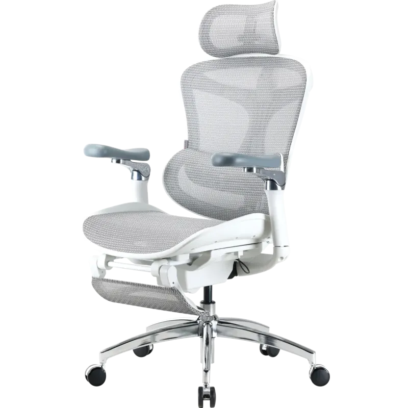 Крісло Sihoo DORO C300 Pro Mesh White with footrest (DORO-C300-PRO-M102-JT)