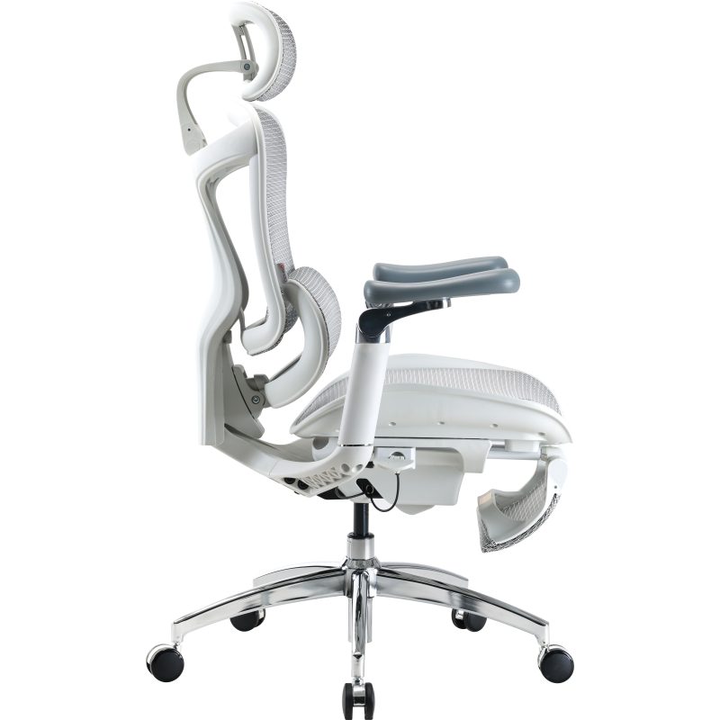 Крісло Sihoo DORO C300 Pro Mesh White with footrest (DORO-C300-PRO-M102-JT)