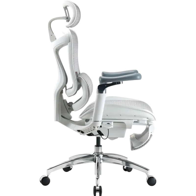 Крісло Sihoo DORO C300 Pro Mesh White with footrest (DORO-C300-PRO-M102-JT)