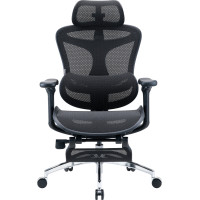 Крісло Sihoo DORO C300L Mesh Black with footrest (DORO-C300L-A3-101-JT)