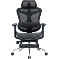 Крісло Sihoo DORO C300L Mesh Black with footrest (DORO-C300L-A3-101-JT)
