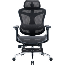 Кресло Sihoo DORO C300L Mesh Black with footrest (DORO-C300L-A3-101-JT)