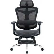 Крісло Sihoo DORO C300L Mesh Black with footrest (DORO-C300L-A3-101-JT)