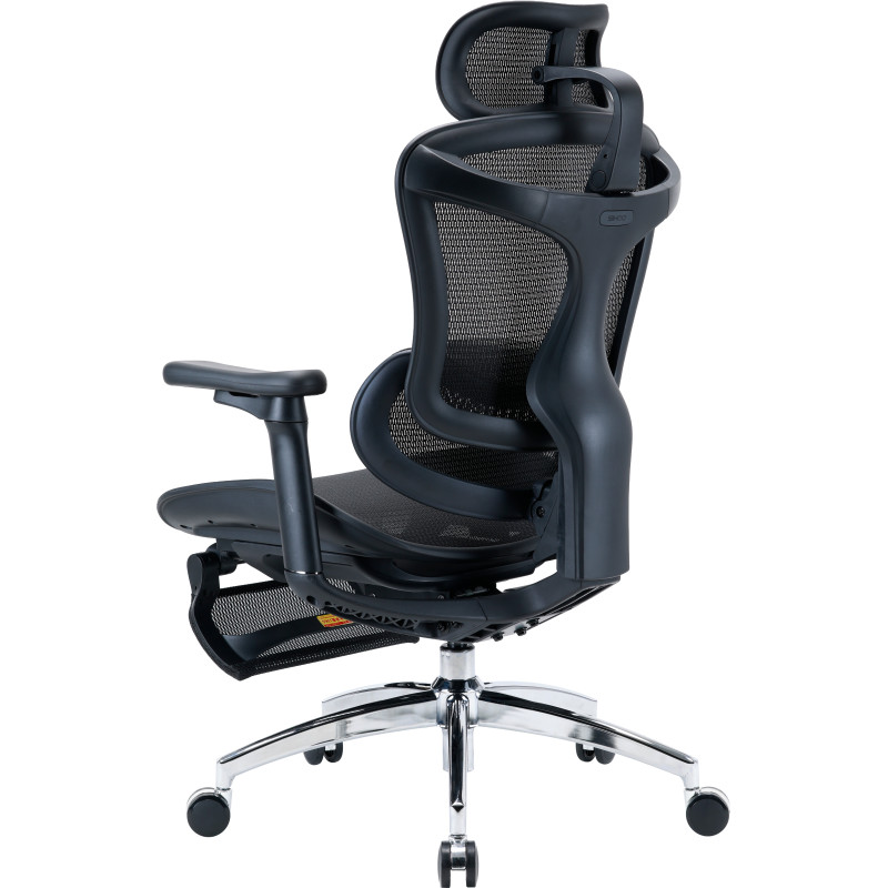 Кресло Sihoo DORO C300L Mesh Black with footrest (DORO-C300L-A3-101-JT)