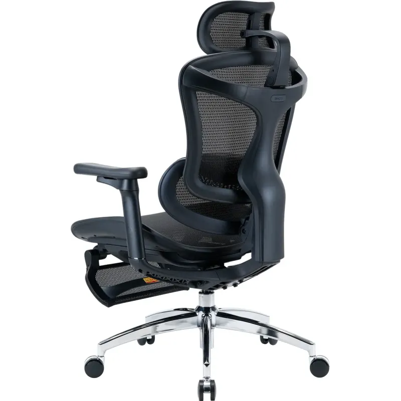 Крісло Sihoo DORO C300L Mesh Black with footrest (DORO-C300L-A3-101-JT)