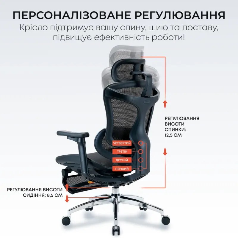 Крісло Sihoo DORO C300L Mesh Black with footrest (DORO-C300L-A3-101-JT)