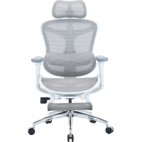 Кресло SIHOO Doro C300L with Footrest White (DORO-C300L-A3-102-JT)