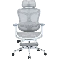 Кресло SIHOO Doro C300L with Footrest White (DORO-C300L-A3-102-JT)