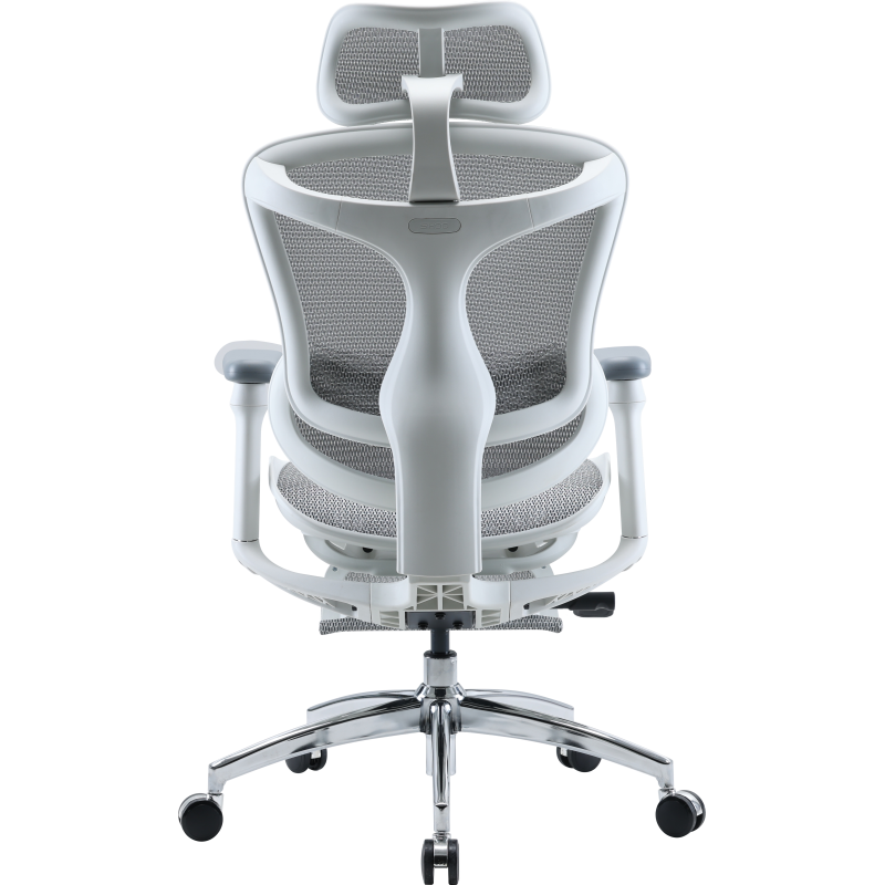 Крісло SIHOO Doro C300L with Footrest White (DORO-C300L-A3-102-JT)