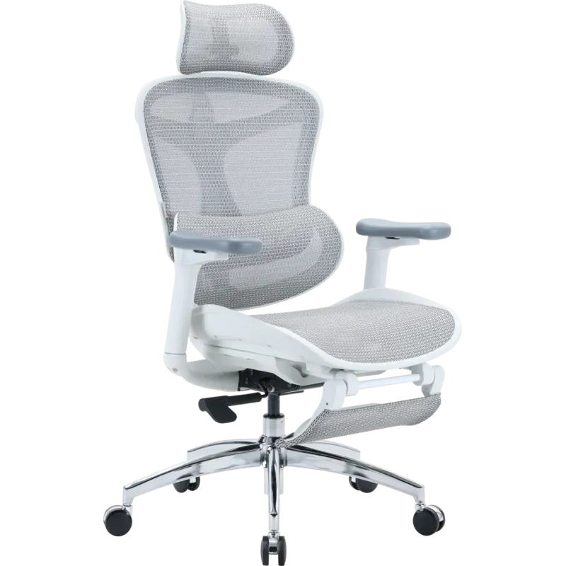 Крісло SIHOO Doro C300L with Footrest White (DORO-C300L-A3-102-JT)