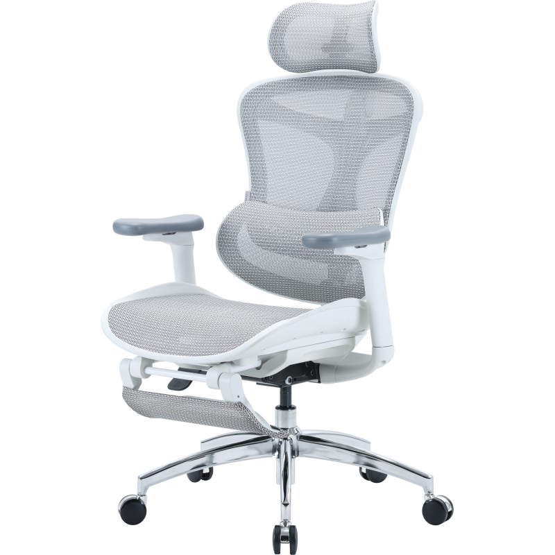 Крісло SIHOO Doro C300L with Footrest White (DORO-C300L-A3-102-JT)