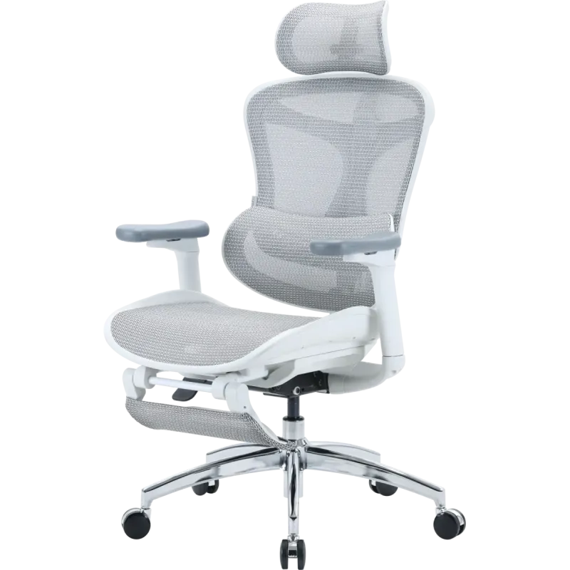Крісло SIHOO Doro C300L with Footrest White (DORO-C300L-A3-102-JT)