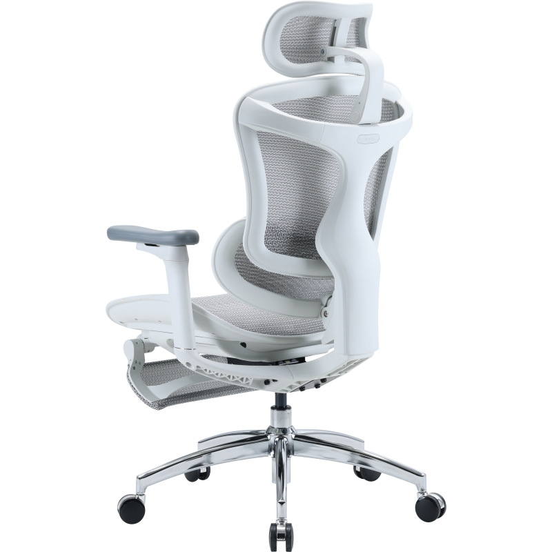 Крісло SIHOO Doro C300L with Footrest White (DORO-C300L-A3-102-JT)